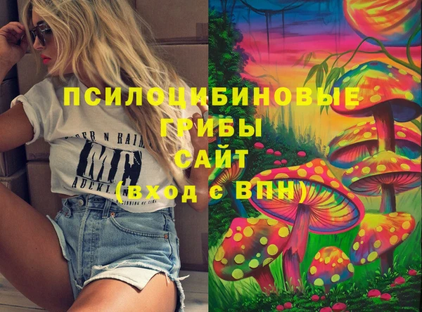 СК Верхний Тагил
