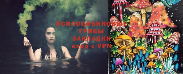 СК Верхний Тагил