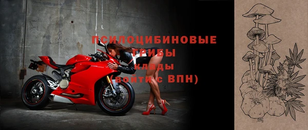 СК Верхний Тагил